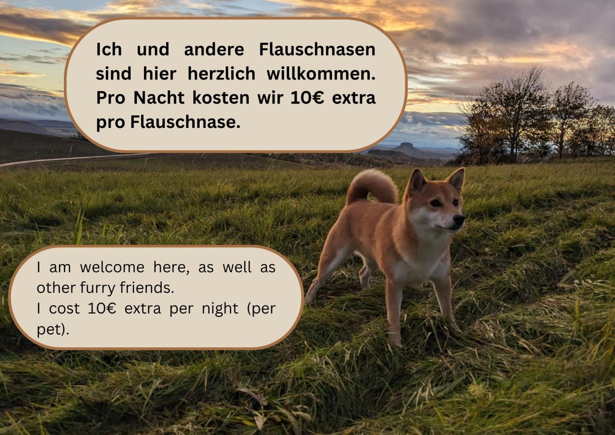 S3 - Urlaubsmagie - Fuer 4P Mitten Im Elbsandsteingebirge 세브니츠 외부 사진
